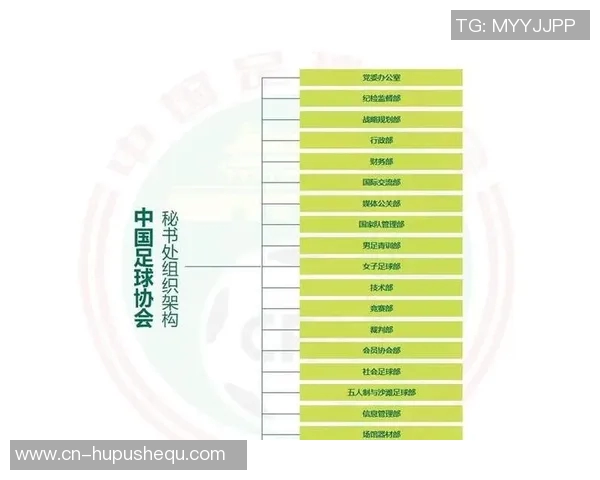 足球协会的历史发展与组织结构全面解析